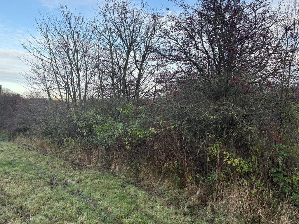 Lot: 63 - PARCEL OF LAND WITH POTENTIAL - Rear view of land from accessway